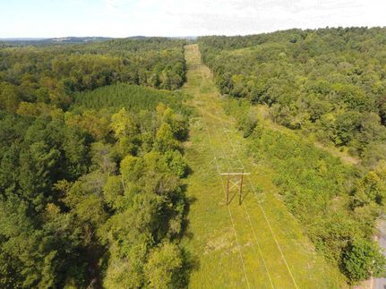 Farm and Ranch in Livingston County, Kentucky