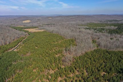 Recreational Property in Livingston County, Kentucky