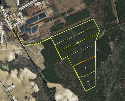 Timberland Property in Harnett County, North Carolina