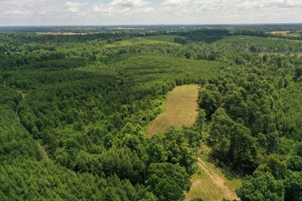 Land in Lyon County, Kentucky