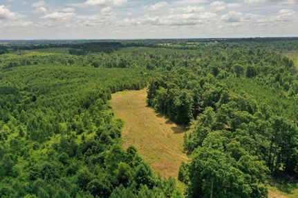 Recreational Property in Lyon County, Kentucky