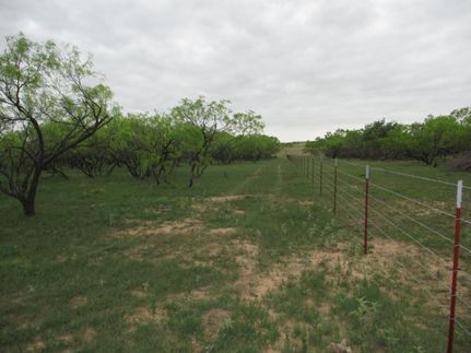 Undeveloped Land for sale in Clay County, Texas