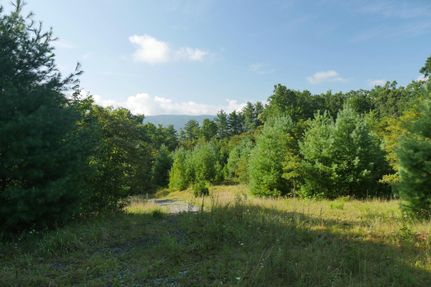 Hunting Property in Bland County, Virginia