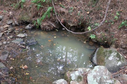Undeveloped Land in Le Flore County, Oklahoma