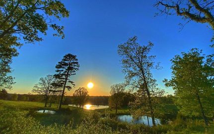 Hunting Property in Texas County, Missouri