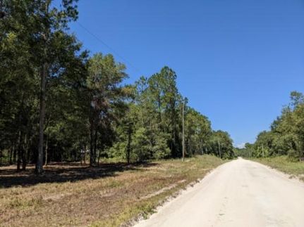Homesite in Suwannee County, Florida