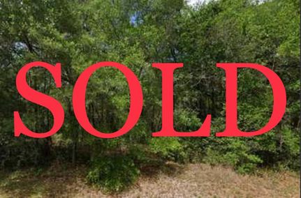 Undeveloped Land in Lake County, Florida