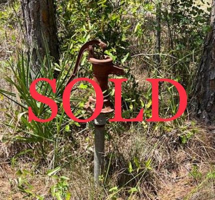 Farm and Ranch in Hendry County, Florida