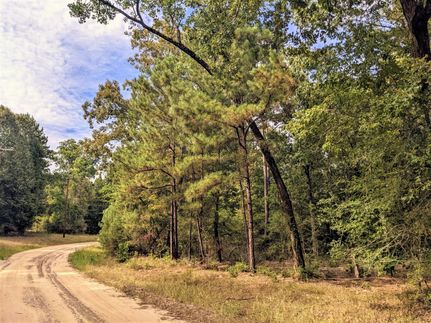Undeveloped Land in Trinity County, Texas