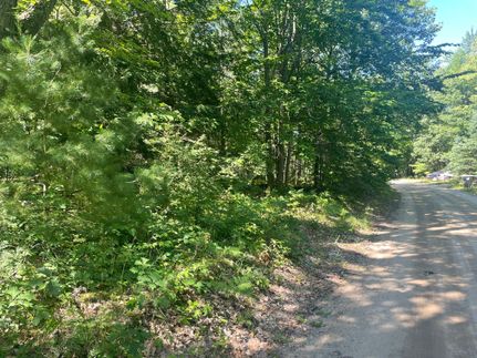 Undeveloped Land in Otsego County, Michigan