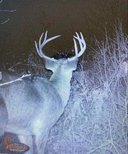 Recreational Property in Juneau County, Wisconsin