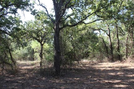 Undeveloped Land in Brown County, Texas