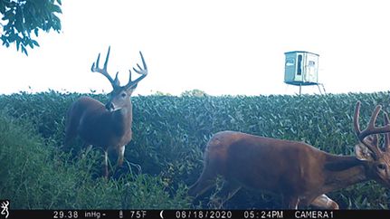 Farm and Ranch in Howard County, Missouri