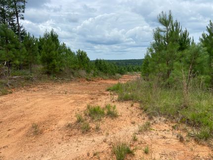 Recreational Property in Montgomery County, Mississippi