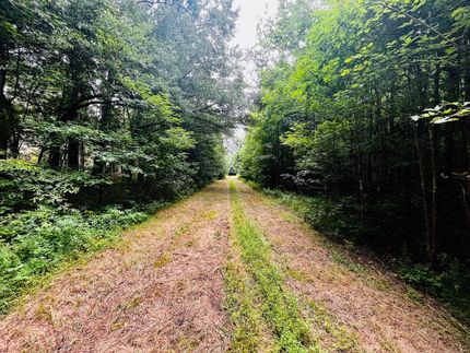 Timberland Property in Lafayette County, Mississippi