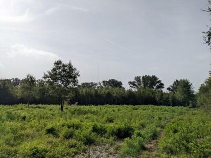 Farm and Ranch in Suwannee County, Florida