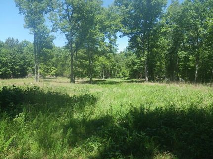 Undeveloped Land in Howell County, Missouri