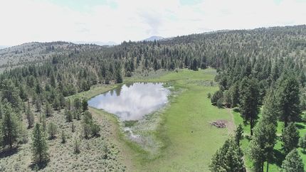 Timberland Property in Baker County, Oregon