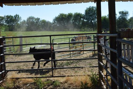 Farm and Ranch in Baker County, Oregon