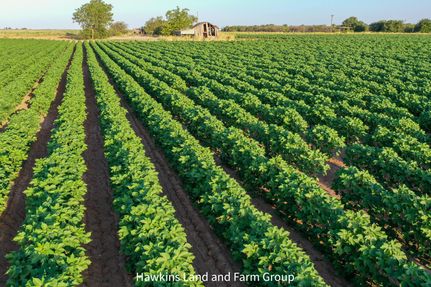 Timberland Property in Knox County, Texas