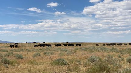 Farm and Ranch in Natrona County, Wyoming