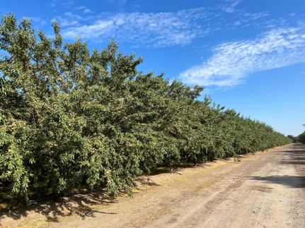Farm and Ranch in Fresno County, California