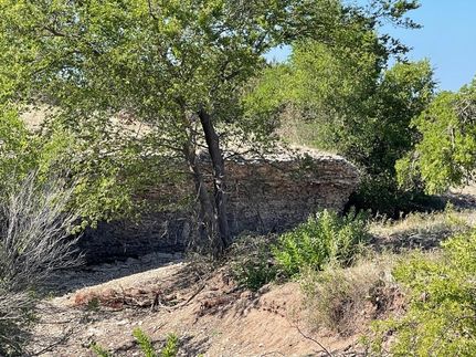 Timberland Property in Nolan County, Texas