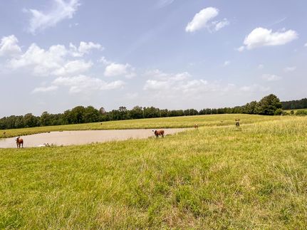 Hunting Property in Walker County, Texas