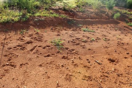 Land in Newberry County, South Carolina