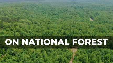 Hunting Property in Howell County, Missouri