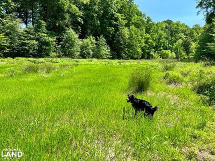 Undeveloped Land in New Kent County, Virginia