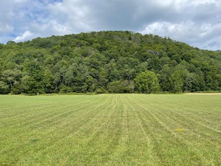 Timberland Property in Potter County, Pennsylvania