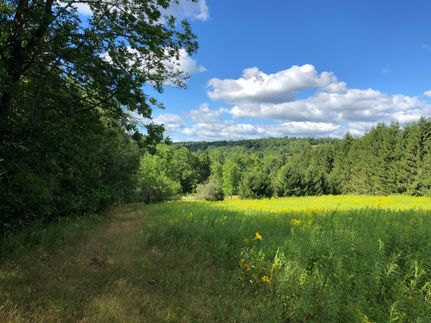Horse Property in Otsego County, New York