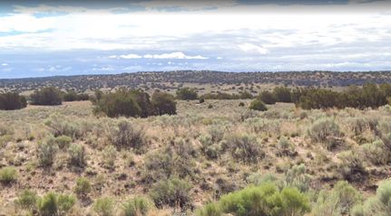 Farm and Ranch in Apache County, Arizona
