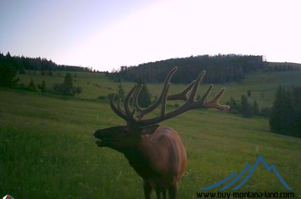 Undeveloped Land in Broadwater County, Montana