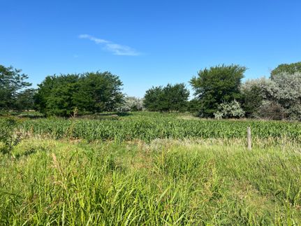 Undeveloped Land in Harper County, Kansas