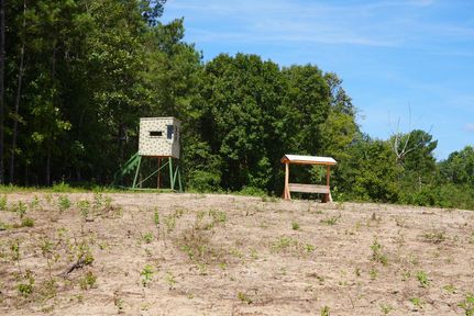 Recreational Property in Livingston County, Kentucky