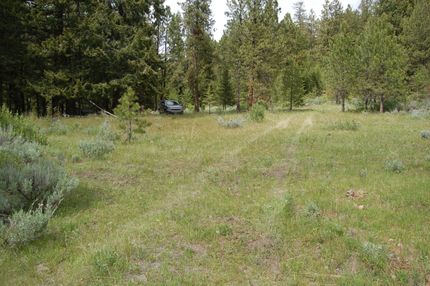 Timberland Property in Okanogan County, Washington