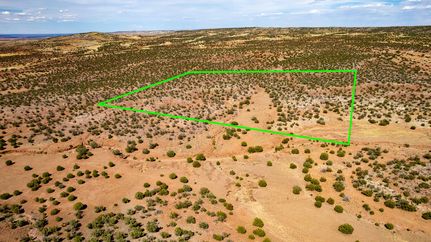 Undeveloped Land in Apache County, Arizona