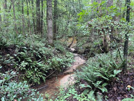 Farm and Ranch in Nash County, North Carolina
