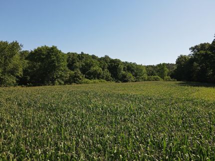 Recreational Property in Fayette County, Illinois