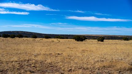 Undeveloped Land in Apache County, Arizona