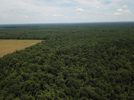 Farm and Ranch in Iberville Parish, Louisiana