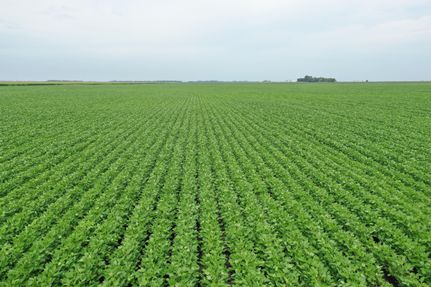 Land in Cass County, North Dakota