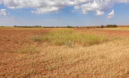 Land in Crosby County, Texas