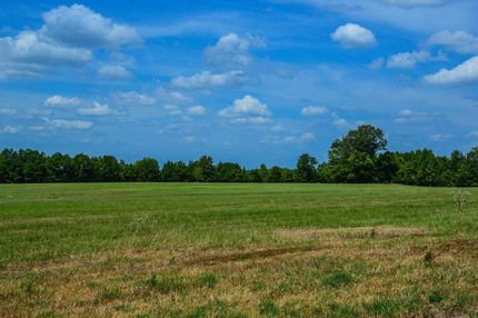 Undeveloped Land in Nacogdoches County, Texas