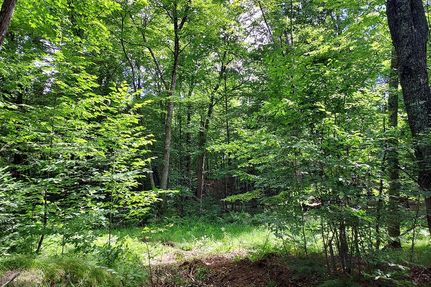 Farm and Ranch in Langlade County, Wisconsin