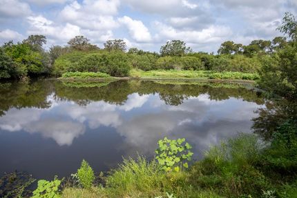 Land in Gonzales County, Texas