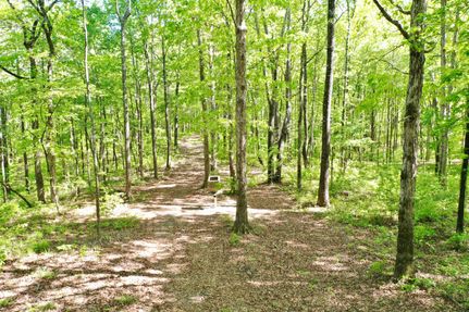 Timberland Property in Crawford County, Georgia