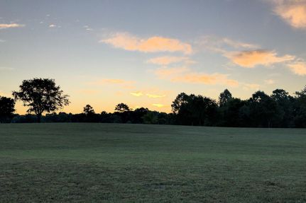 Timberland Property in Williamson County, Tennessee